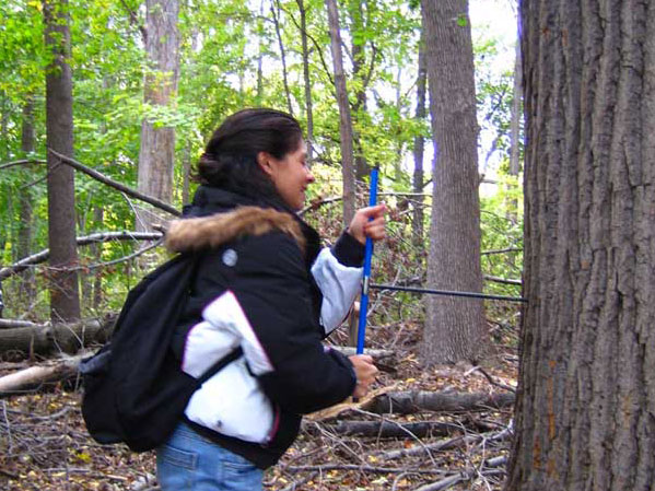 Jessica Mulligan, a CSI junior, taking tree samples to be analyzed in the CSI tree-ring laboratory.